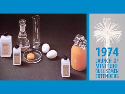 50 anos de Minitube: O lançamento dos diluentes de sêmen