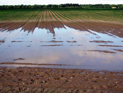 Support for farmers after disastrous flooding