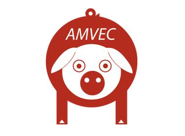 Congreso AMVEC
