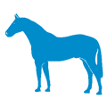 SpermNotes Equine 2018