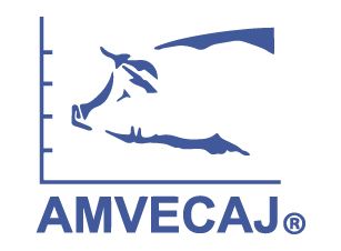 Congreso AMVECAJ