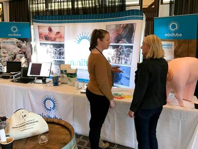 Minitube at the IXth International Conference on Boar Semen Preservation