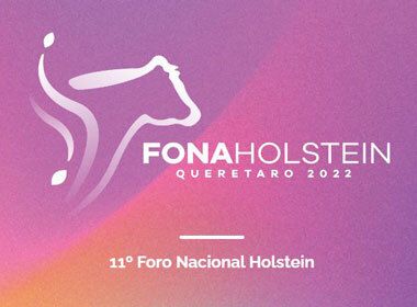 FONAHolstein