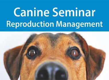 Canine Reproduction Management Seminar
