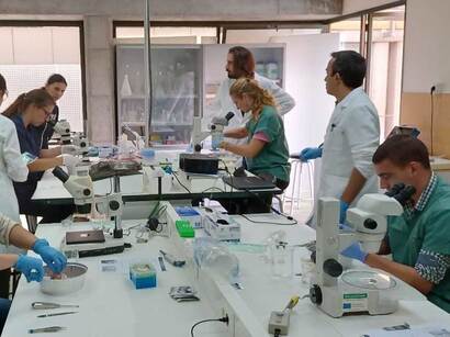 Minitub Ibérica organiza junto con la Universidad de Extremadura el II curso de OPU equina