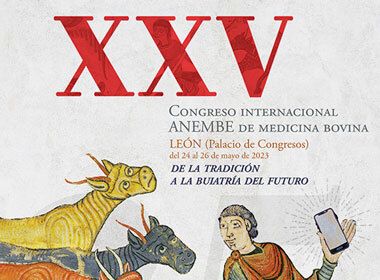 Congreso Internacional ANEMBE