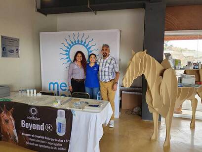 Meeting place for Mexican equine reproduction specialists