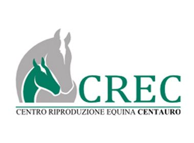 Equine Embryo Transfer Course