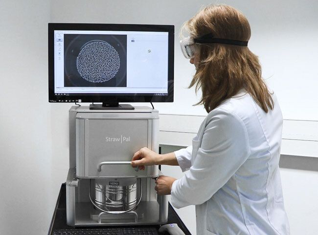 Timesaving and accurate counting of straws in liquid nitrogen