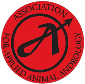 AAAA