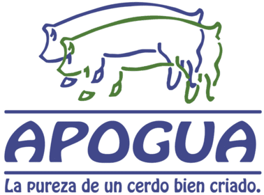 Congreso Nacional de Porcicultores APOGUA