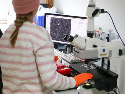 Biologie und Technik in der Praxis: Girls´Day bei Minitüb