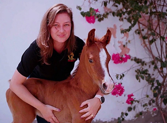 Beyond®: bewährt in der Praxis, geschätzt von Züchtern