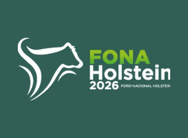 Fona Holstein   