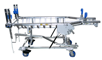 Cradle for laparoscopy in sheep