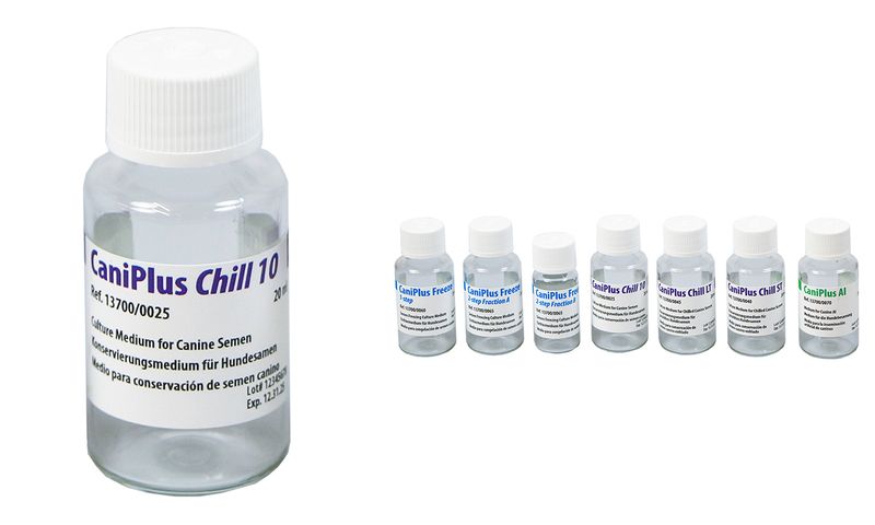 CaniPlus Chill 10, long term culture medium for ca