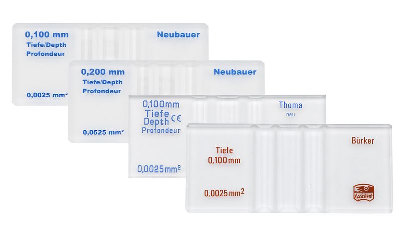 Counting chamber reusable