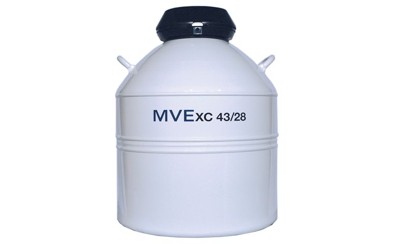 MVE Cryo container XC 43/28