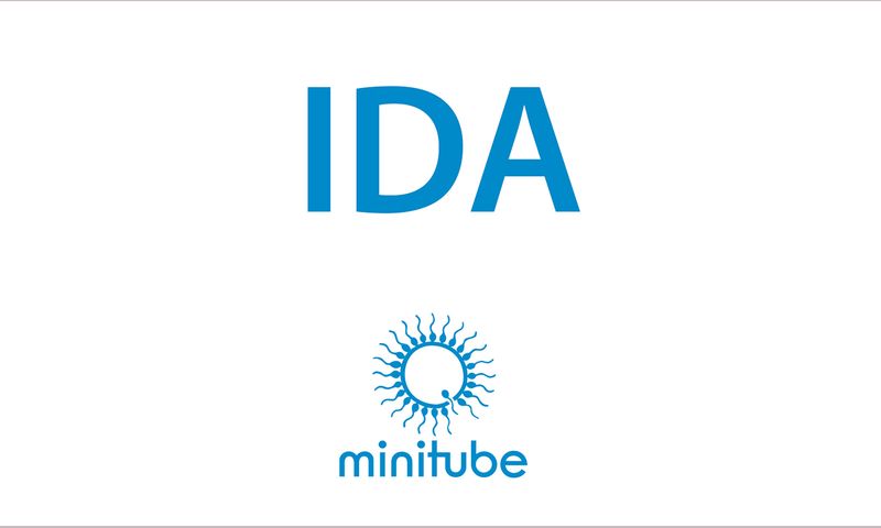 IDEE/IDA