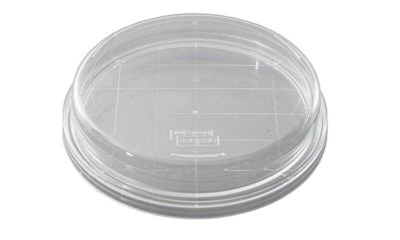 Petri dish 65 mm