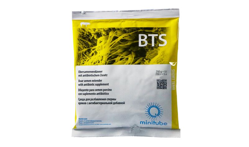 BTS with Gentamicin, 250 g = 5 l