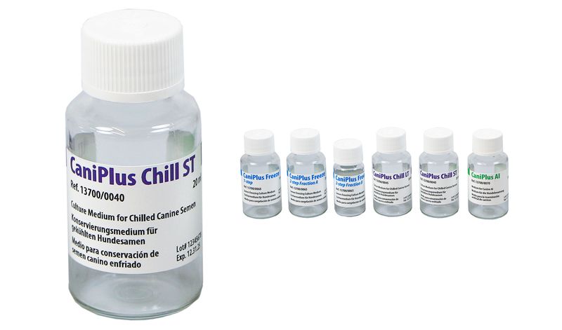 CaniPlus Chill ST, short term culture medium for c