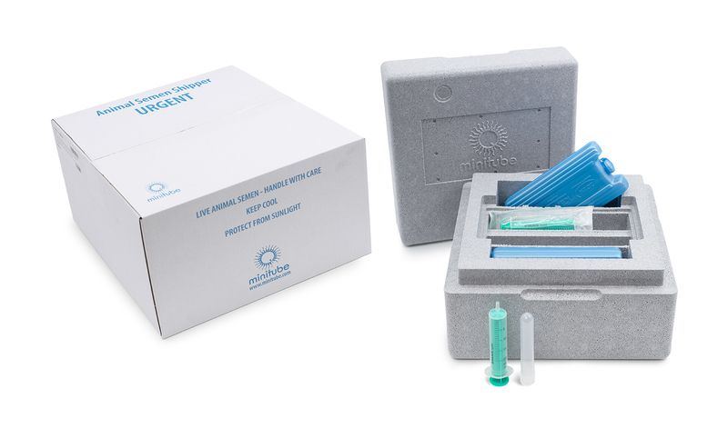 Minitube transport box for stallion semen