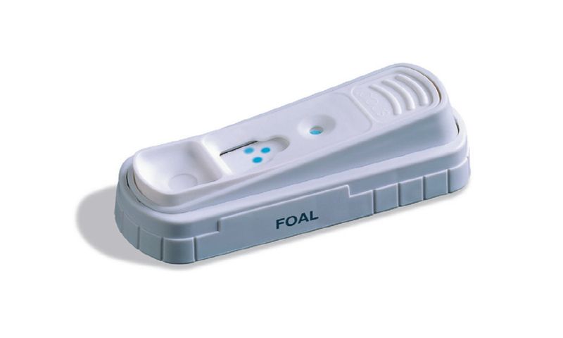 Foal IgG test 