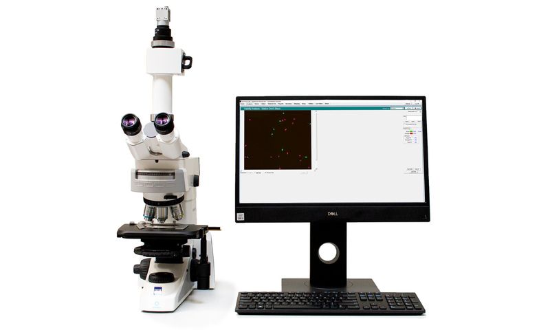 Sperm Vision® SAR module: Viability and fluorescen