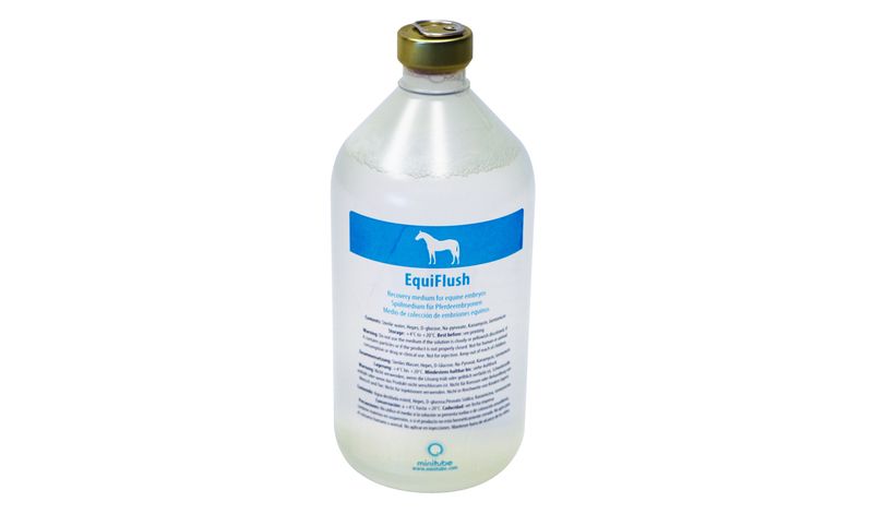 EquiFlush with BSA and antibiotics, 1 l, bottle