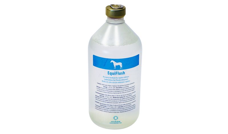 EquiFlush with PVA and antibiotics, 1 l, bottle