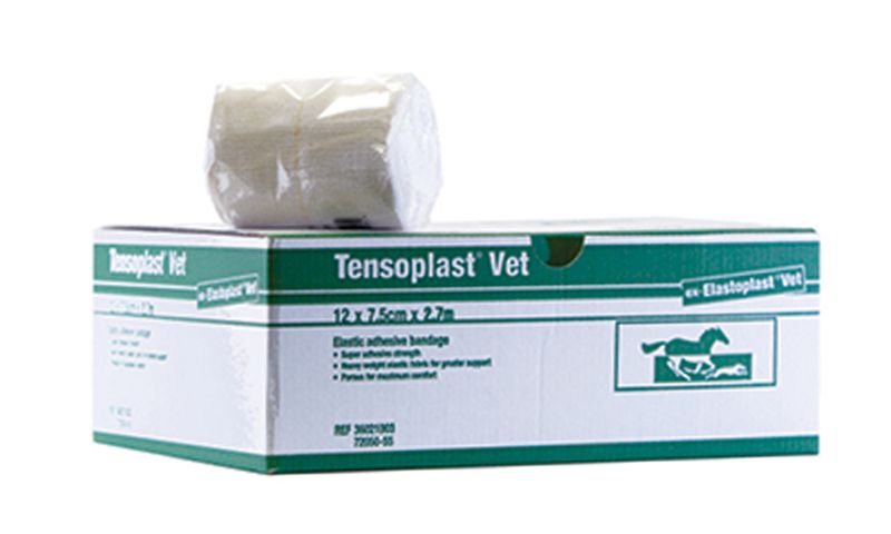 Elastoplast