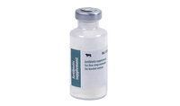 Antibiotic supplement for One-Step extender for bo