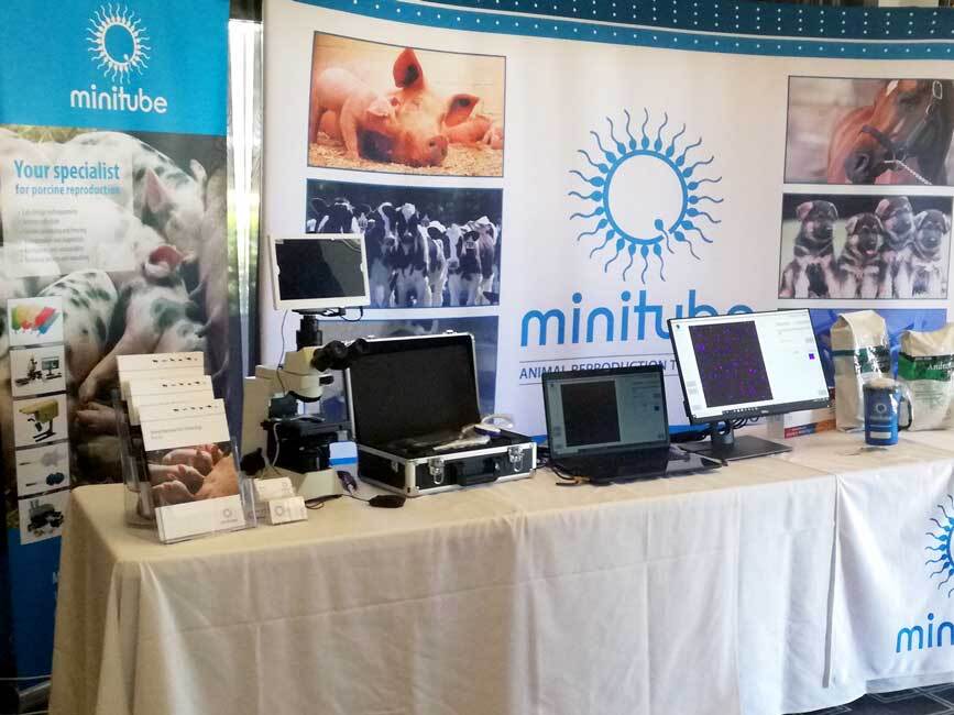 minitune international minitune international