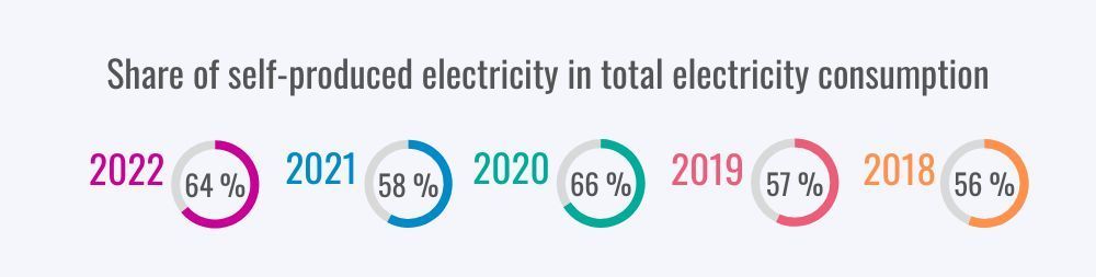 Share of self-produced electricity