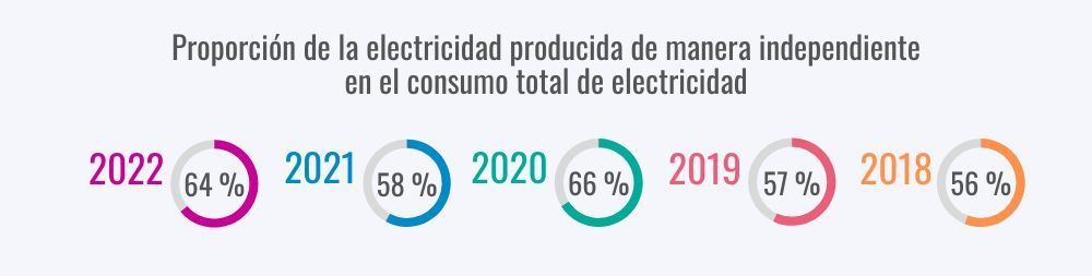 Share of self-produced electricity