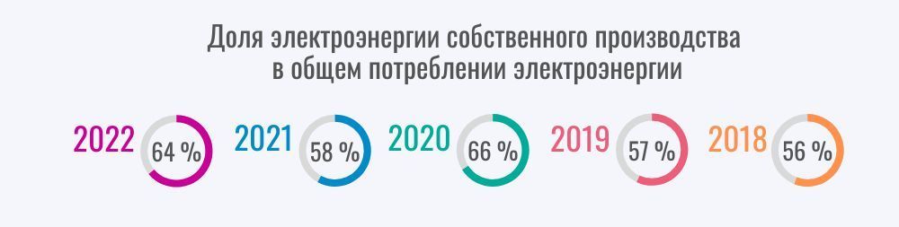 Доля электроэнергии собственного производства в общем потреблении электроэнергии