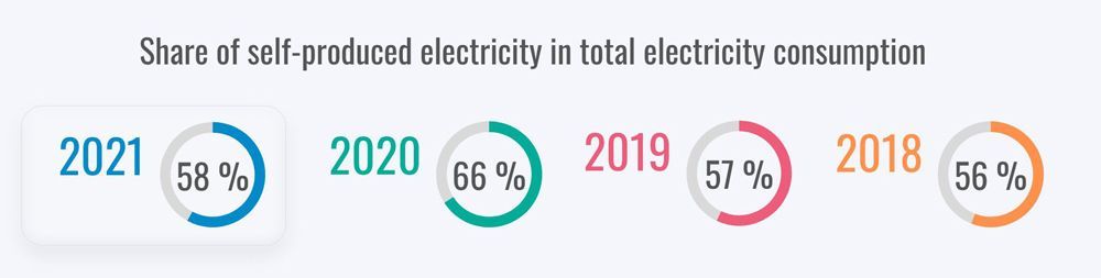 Share of self-produced electricity