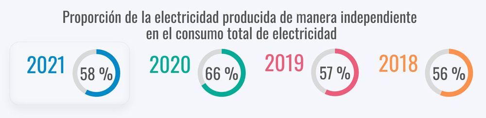 Share of self-produced electricity