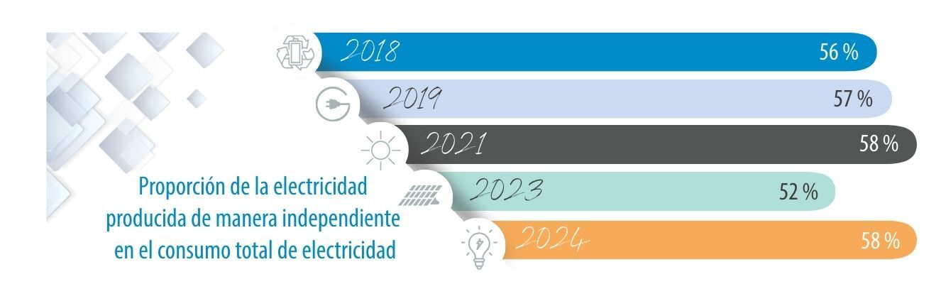 Share of self-produced electricity