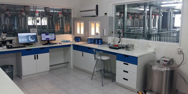 Sinergia Genetic Transfer Center, La Piedad, Michoacán, Mexico
