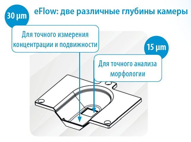 Chamber design eFlow